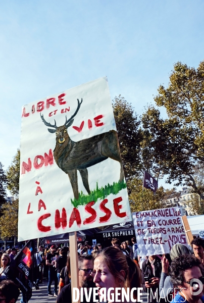 Marche citoyenne pour la planéte