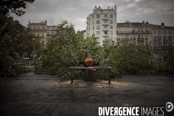 Travaux du quartier de La Plaine à Marseille