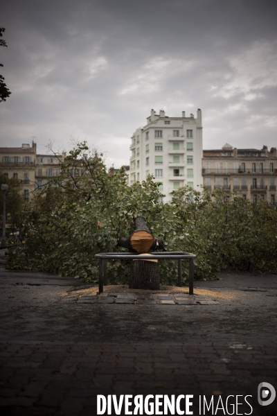 Travaux du quartier de La Plaine à Marseille