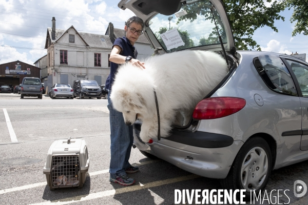Des animaux et des hommes