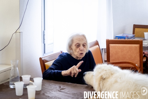 Des animaux et des hommes