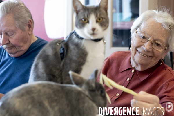 Des animaux et des hommes