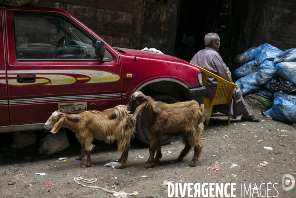 Quartier des chiffonniers au caire, egypte.