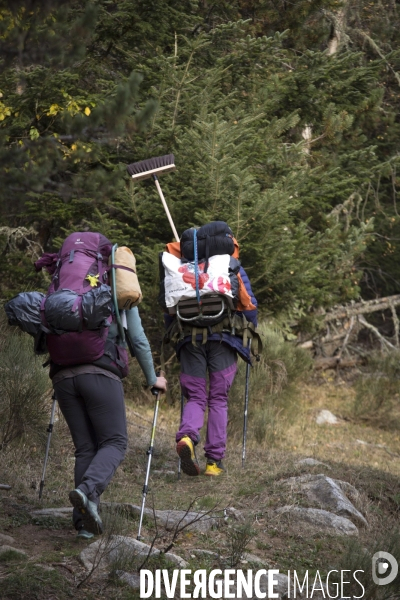 Tous A Poële: Les  bichonneurs  de refuges