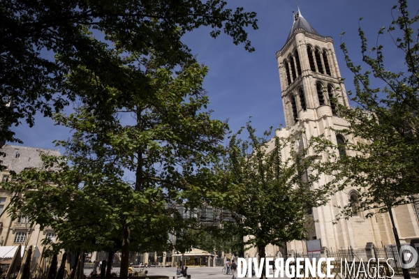 La basilique cathédrale de Saint-Denis, le cimetière des rois et reines de France.