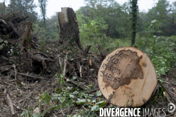 Forêt en danger à Romainville