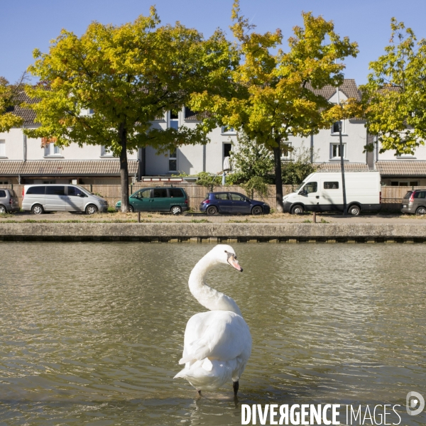 Au fil du canal de l ourcq.