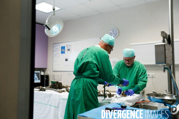 Procédure d identification du cadavre d un poilu par le docteur Bruno Frémont