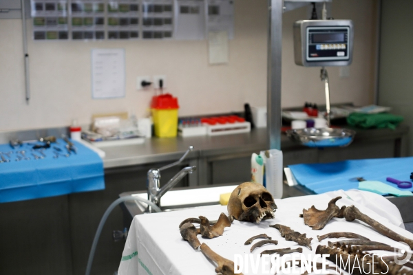Procédure d identification du cadavre d un poilu par le docteur Bruno Frémont