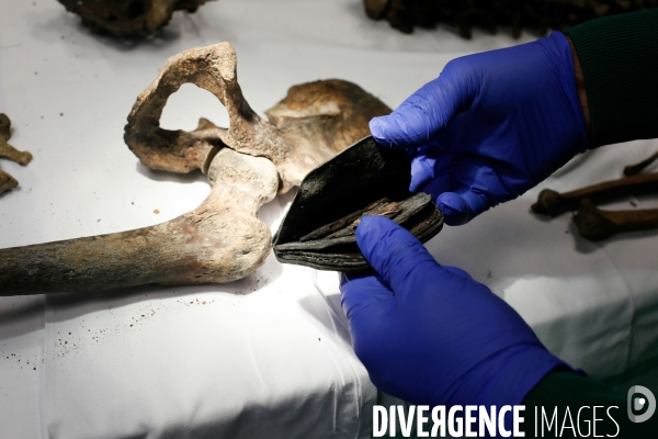 Procédure d identification du cadavre d un poilu par le docteur Bruno Frémont