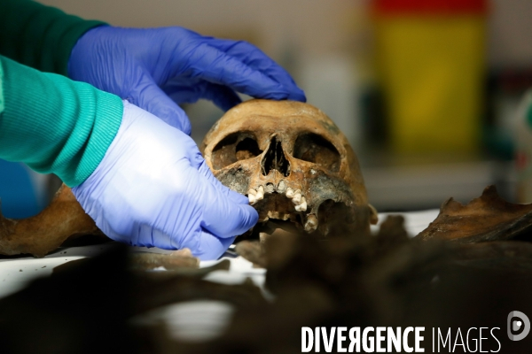 Procédure d identification du cadavre d un poilu par le docteur Bruno Frémont
