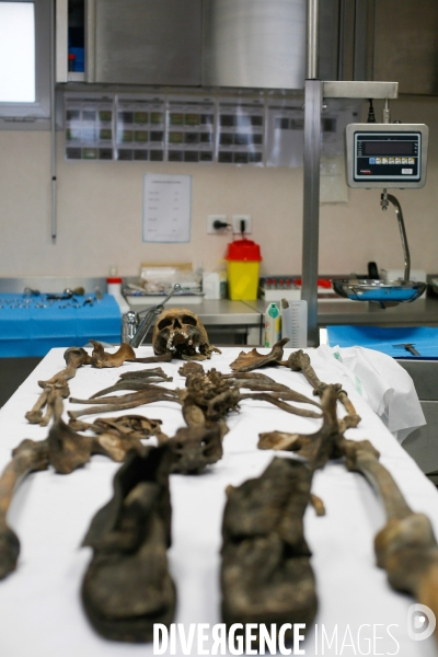 Procédure d identification du cadavre d un poilu par le docteur Bruno Frémont