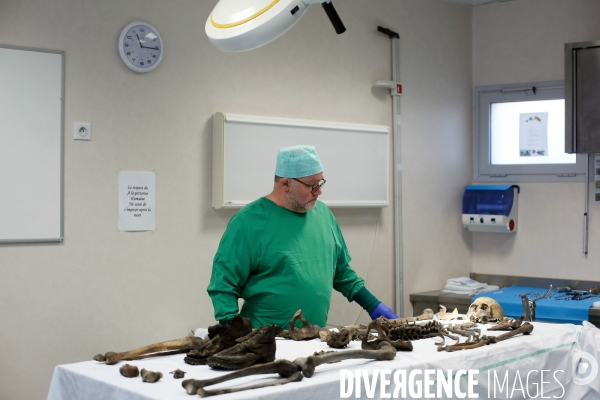 Procédure d identification du cadavre d un poilu par le docteur Bruno Frémont