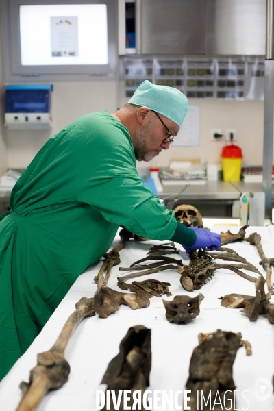 Procédure d identification du cadavre d un poilu par le docteur Bruno Frémont