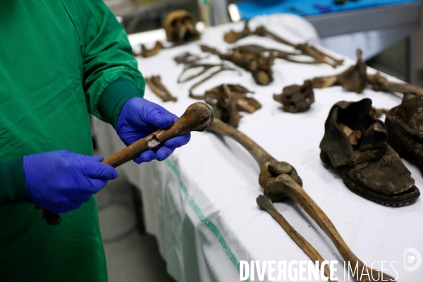 Procédure d identification du cadavre d un poilu par le docteur Bruno Frémont