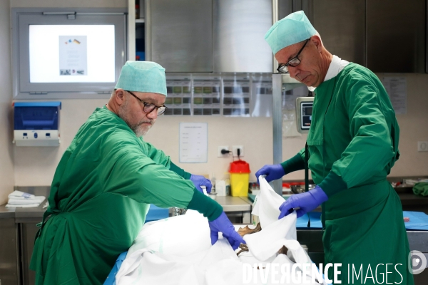 Procédure d identification du cadavre d un poilu par le docteur Bruno Frémont