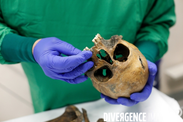Procédure d identification du cadavre d un poilu par le docteur Bruno Frémont