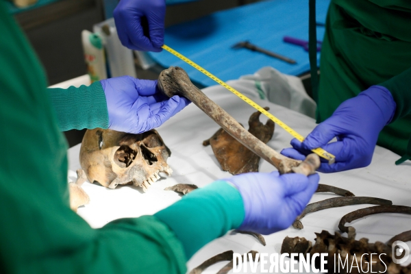 Procédure d identification du cadavre d un poilu par le docteur Bruno Frémont