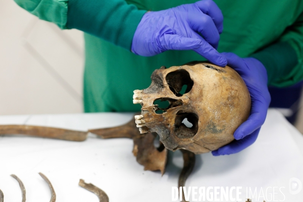 Procédure d identification du cadavre d un poilu par le docteur Bruno Frémont