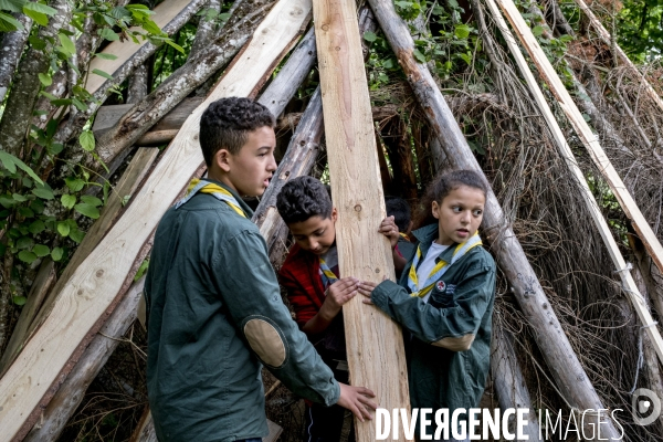 Scouts musulmans de France