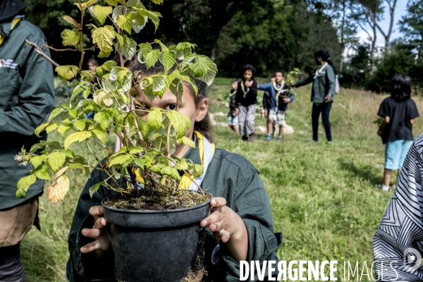 Scouts musulmans de France