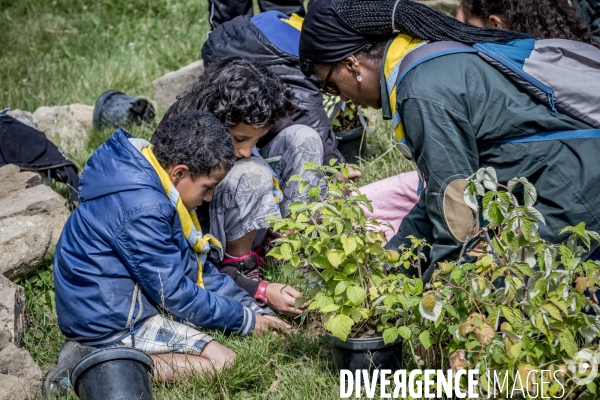 Scouts musulmans de France