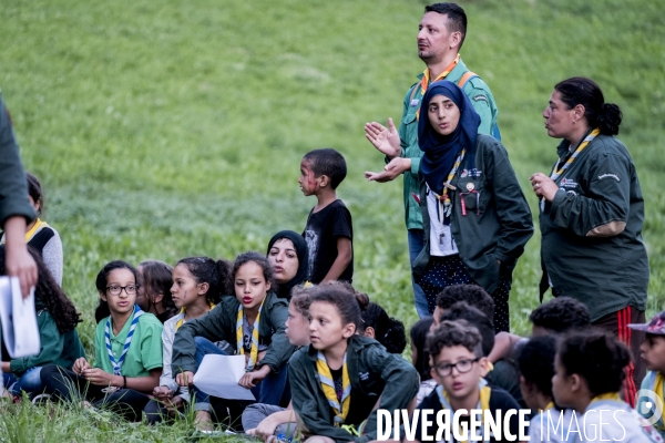 Scouts musulmans de France