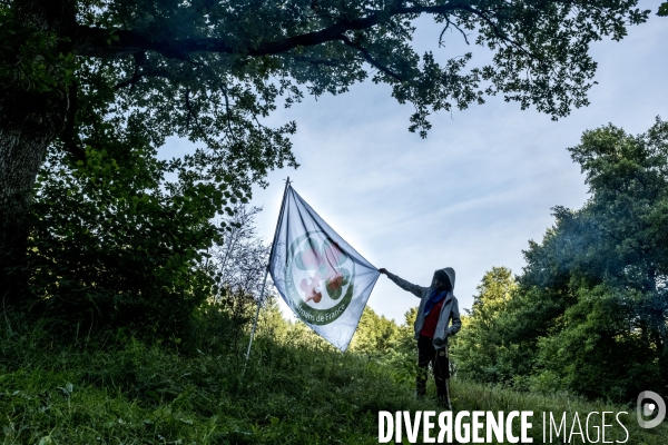 Scouts musulmans de France