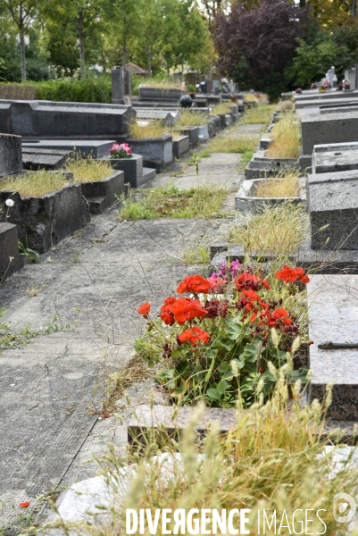 Cimetière