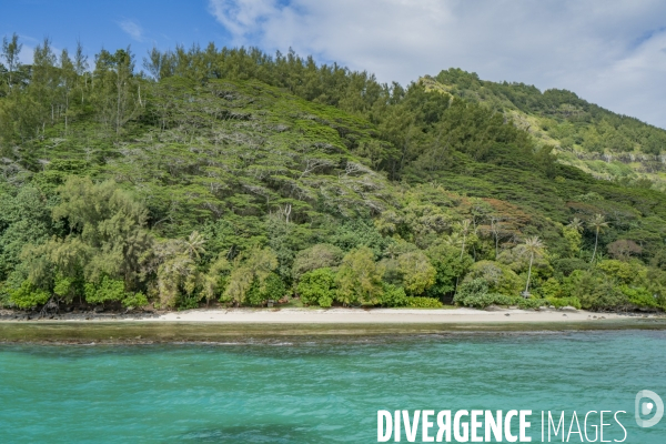 Plage au bord de la Baie de Rikitea - Beach at the shores of Rikitea Bay