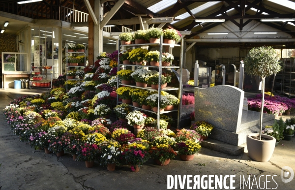 Cimetière et fleurs de fête des morts