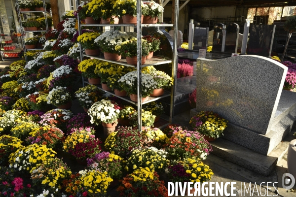 Cimetière et fleurs de fête des morts