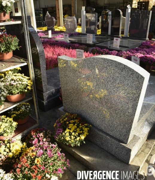 Cimetière et fleurs de fête des morts