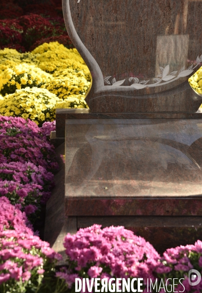 Cimetière et fleurs de fête des morts