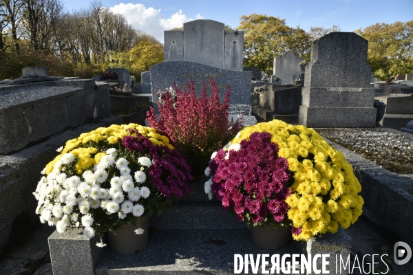 Cimetière et fleurs de fête des morts