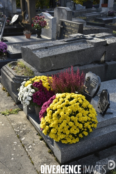 Cimetière et fleurs de fête des morts