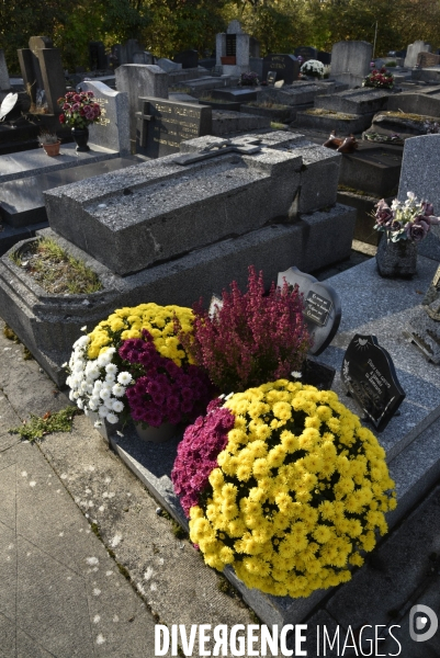 Cimetière et fleurs de fête des morts