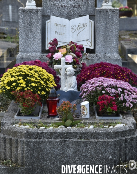 Cimetière et fleurs de fête des morts