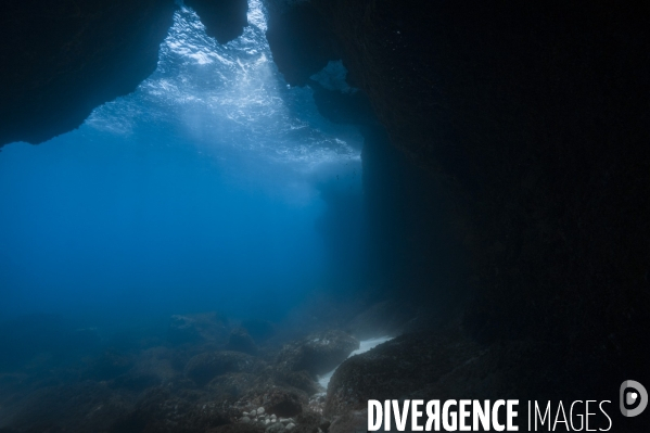 Une grotte sous-marine en Méditerranée - Underwater cave in Mediterranean