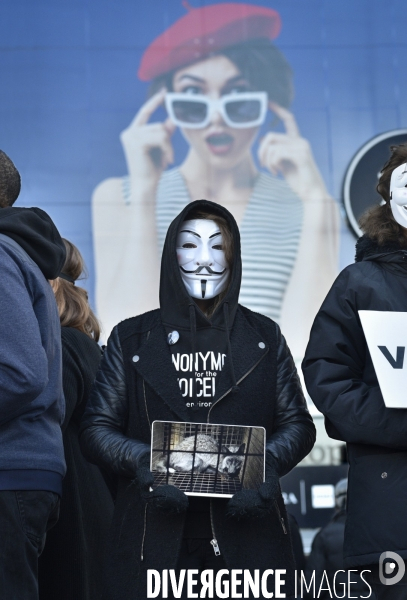 Action cause animale, ANONYMOUS FOR THE VOICELESS, Cube of Truth. International cube day November 3RD 2018 PARIS. Animals rights.