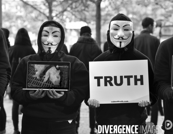 Action cause animale, ANONYMOUS FOR THE VOICELESS, Cube of Truth. International cube day November 3RD 2018 PARIS. Animals rights.