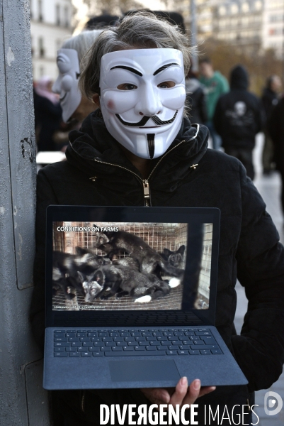 Action cause animale, ANONYMOUS FOR THE VOICELESS, Cube of Truth. International cube day November 3RD 2018 PARIS. Animals rights.