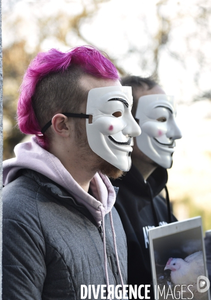 Action cause animale, ANONYMOUS FOR THE VOICELESS, Cube of Truth. International cube day November 3RD 2018 PARIS. Animals rights.