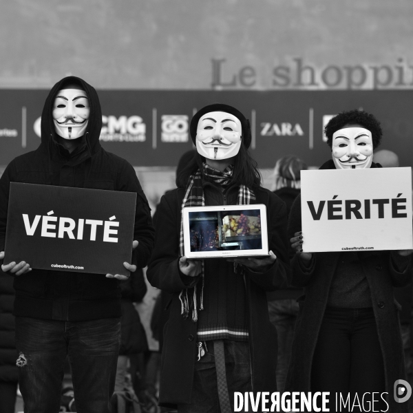 Action cause animale, ANONYMOUS FOR THE VOICELESS, Cube of Truth. International cube day November 3RD 2018 PARIS. Animals rights.