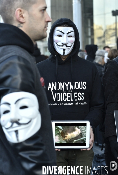 Action cause animale, ANONYMOUS FOR THE VOICELESS, Cube of Truth. International cube day November 3RD 2018 PARIS. Animals rights.