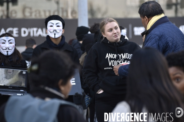 Action cause animale, ANONYMOUS FOR THE VOICELESS, Cube of Truth. International cube day November 3RD 2018 PARIS. Animals rights.