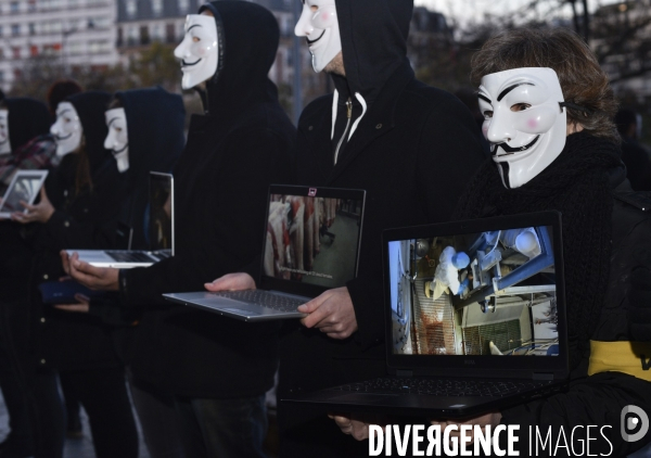 Action cause animale, ANONYMOUS FOR THE VOICELESS, Cube of Truth. International cube day November 3RD 2018 PARIS. Animals rights.