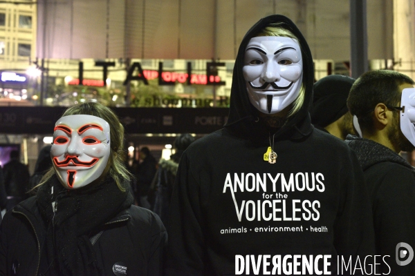 Action cause animale, ANONYMOUS FOR THE VOICELESS, Cube of Truth. International cube day November 3RD 2018 PARIS. Animals rights.