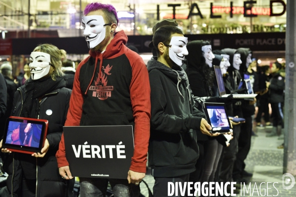 Action cause animale, ANONYMOUS FOR THE VOICELESS, Cube of Truth. International cube day November 3RD 2018 PARIS. Animals rights.