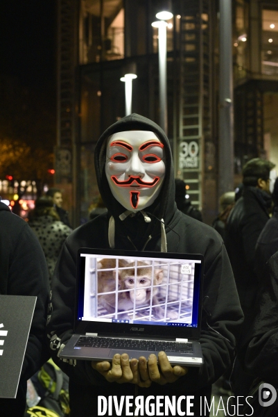 Action cause animale, ANONYMOUS FOR THE VOICELESS, Cube of Truth. International cube day November 3RD 2018 PARIS. Animals rights.